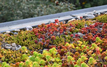 the cost of Lynnwood green roof installation