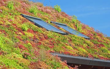 Lynnwood living roof systems